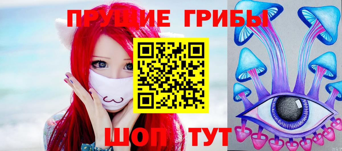 Псилоцибиновые грибы GOLDEN TEACHER Ишимбай